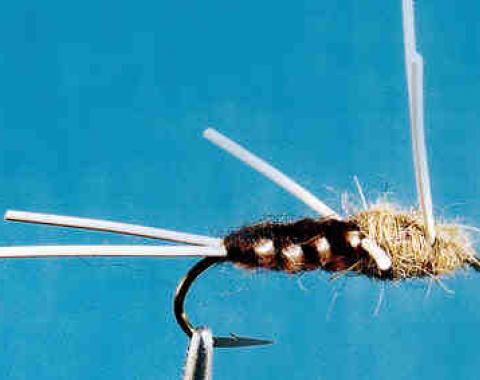 Fishing Article - Springtime Stoneflies by Bill Robertson @Tfh