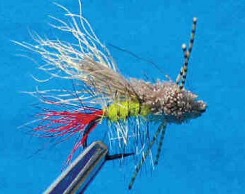 Flame Orange/ White Popper Legs – Jackson Hole Fly Company