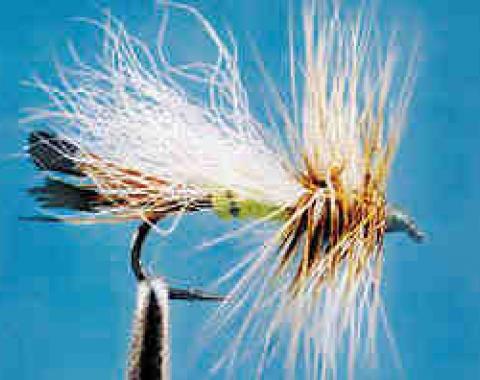 Conehead Muddler Yellow - 4 | Jackson Hole Fly Company