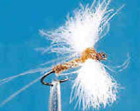 Rusty Spinner Fly Pattern, MATCH ANY SPINNER